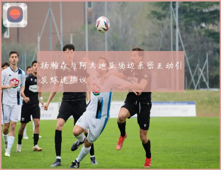 杨瀚森与阿夫迪亚场边亲密互动引发球迷热议