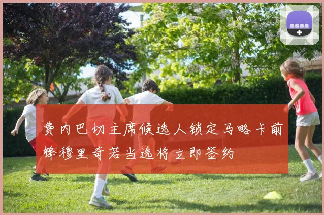 费内巴切主席候选人锁定马略卡前锋穆里奇若当选将立即签约