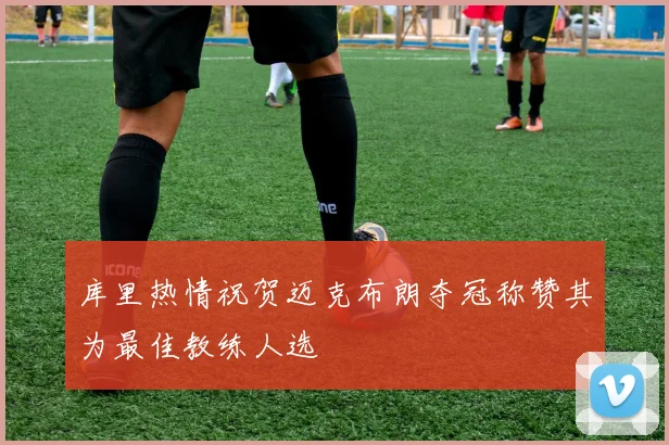 库里热情祝贺迈克布朗夺冠称赞其为最佳教练人选
